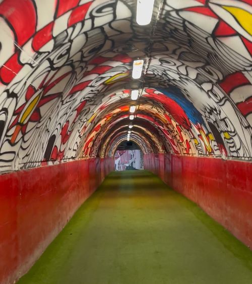 AM INTRAT ÎN TUNELUL GROAZEI     GOLAZO.ro  a pătruns în   cel mai înfiorător loc  de pe „Marakana”! Cum arată și ce simți pe tunelul pe unde FCSB intră pe gazon