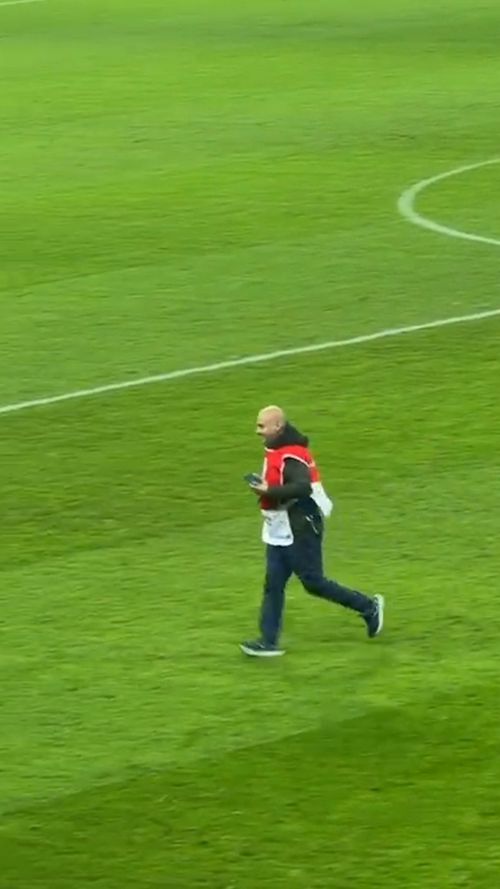 Porumbelul intrat pe gazon la Dinamo - Metaloglobus