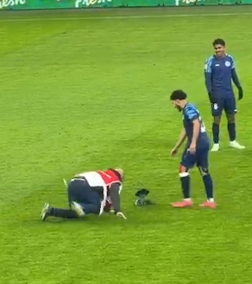 Scene comice pe Arenă    VIDEO+FOTO.     Un porumbel  a întrerupt Dinamo - Metaloglobus și le-a dat mari bătăi de cap stewarzilor