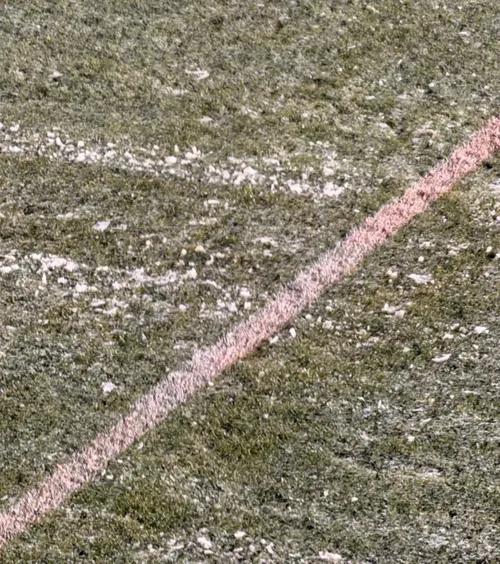 Liniile roz, pericol pentru VAR   Probleme înaintea meciului pe care FCSB voia să îl boicoteze:   ce au făcut organizatorii,  la Mioveni