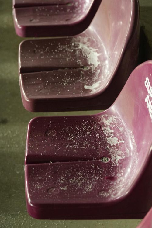 Rapid - Metaloglobus FOTO GOLAZO (6).jpeg