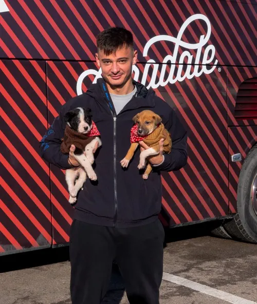 „Câinii” și cățeii     Ședință foto specială la Dinamo,   pentru a încuraja adopțiile: „Weekendul acesta să fie ultimul în adăpost”