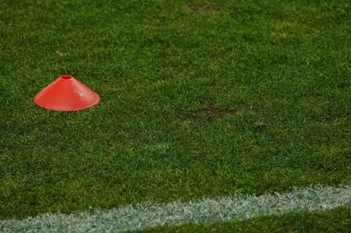 Dinamo - Petrolul. Cum arată gazonul de pe Arcul de Triumf. Foto - Vlad Nedelea (6).jpeg