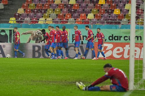 FCSB - FC Botosani FOTO Iosif Popescu GOLAZO (5).jpeg