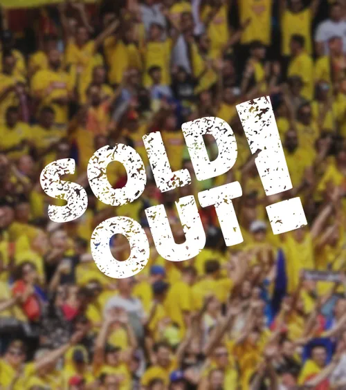 Sold-out în 20 de secunde!  Anunțul FRF înainte   de barajul cu Turcia:  „Mergem să ne calificăm în finală!” » Mii de români așteptau să prindă bilete