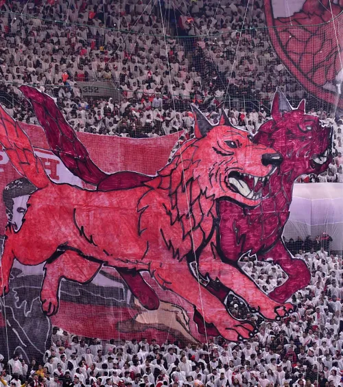 Sloganul „câinii roșii”, interzis la galerie?  Tribunalul a dat primul verdict în   procesul „Nunweiller - Dinamo”.  Toate detaliile