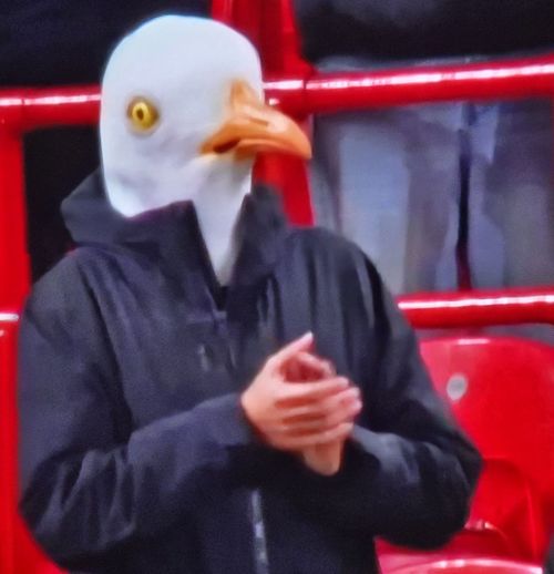 Liverpool - Brighton, un suporter al oaspeților care a purtat un cap de pescăruș. Capturi X (6).jpg