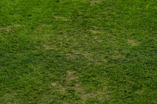 Cum arată gazonul pe Arena Națională la FCSB - Metaloglobus. FOTO GOLAZO (10).jpeg