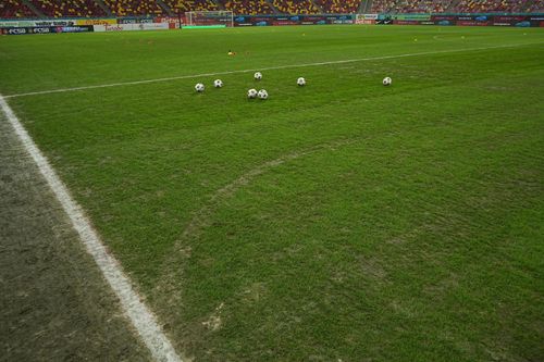 Cum arată gazonul pe Arena Națională la FCSB - Metaloglobus. FOTO GOLAZO (16).jpeg