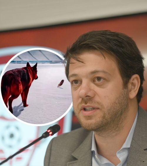 „Nu mi se pare o strategie bună”     Victor Angelescu  a comentat clipul controversat al lui Dinamo: „Au vrut să lase loc de interpretare”