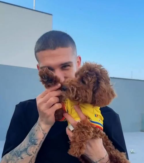 „Fair Play în viață”    VIDEO.  FRF a lansat o campanie împotriva   violenței asupra animalelor  » Bîrligea și cățelul său, în prim-plan