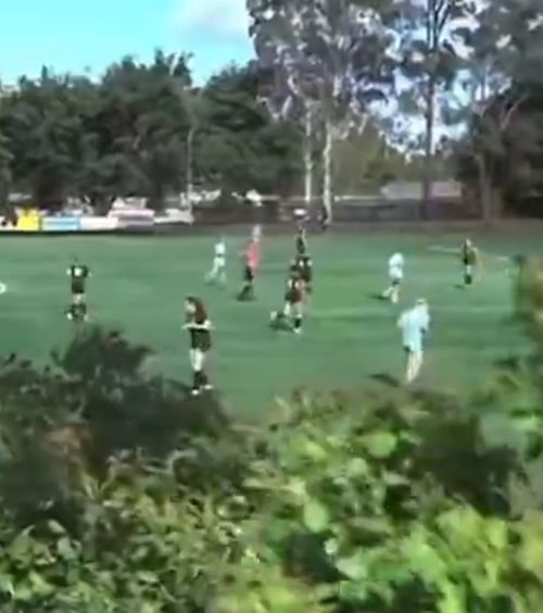 Moment bizar în Australia     VIDEO.     Au tăiat copacul  în mijlocul meciului: „Nu cumva e fundașul lui Arsenal?”