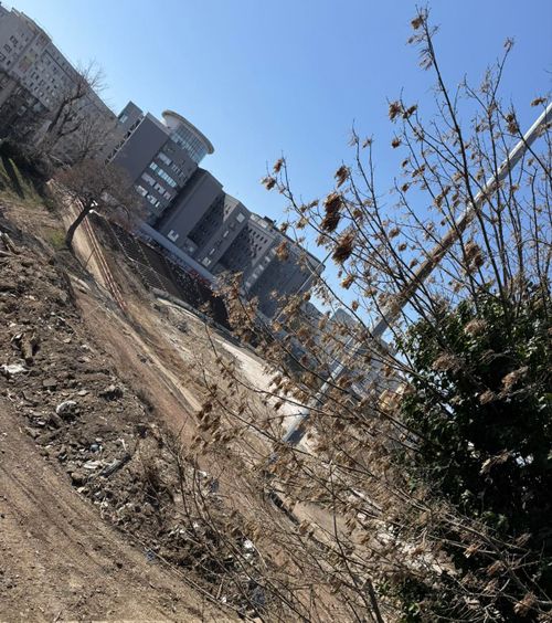 Noul  stadion Dinamo     Evoluție importantă  a lucrărilor de la arena din centrul Capitalei » Se trece la faza a doua a proiectului 