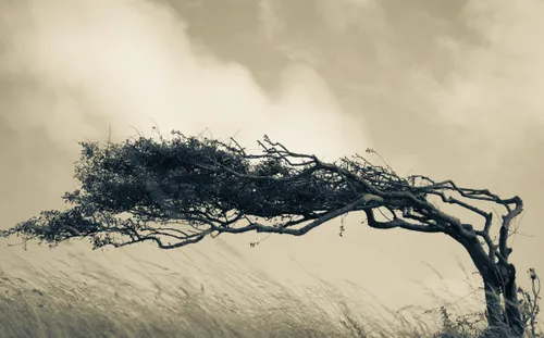 Avertizare meteo de vreme severă în București, emisă de ANM în această dimineață. La noi se anunță vânt puternic și ploi; unde în țară o să și ningă