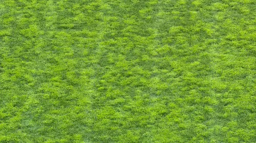 Rapid - U Cluj, gazonul din Giulești arată rău FOTO Vlad Nedelea GOLAZO (3).jpeg