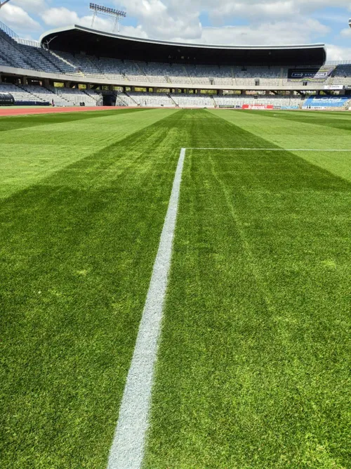Gazonul de pe Cluj Arena FOTO FB Alin Tișe CJ Cluj (5).jpg
