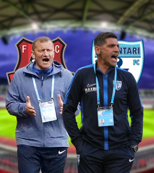 Hermannstadt - Voluntari    LIVE de la 17:30  » Meci de supraviețuire pentru sibieni