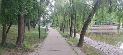 VIDEO | Motivul pentru care zeci de copaci din Parcul Herăstrău au fost marcați, odată cu începerea lucrărilor la maluri. Specialist: Luăm toate măsurile de protecție