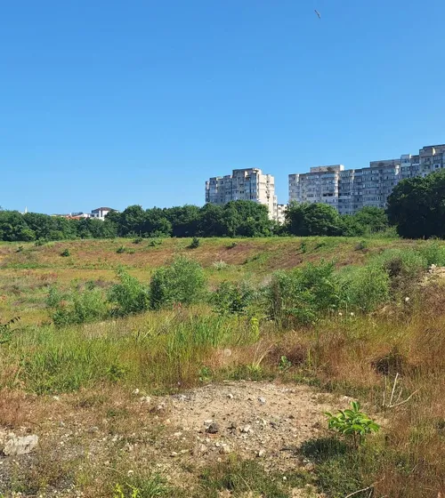  „Cât e biletul în savană?”  Locul unde ar trebui să se construiască    noul stadion al echipei de tradiție  e acoperit de vegetație