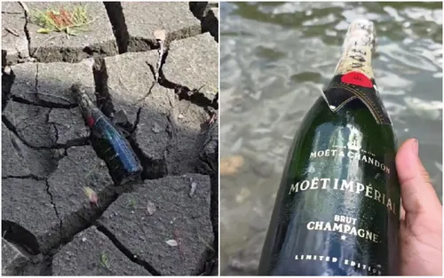 VIDEO 🍾 Din seria „ce mai găsim pe fundul Lacului Herăstrău”: după trotinete, scaune de restaurant și căști de război, cineva a găsit o sticlă de Moët Imperial