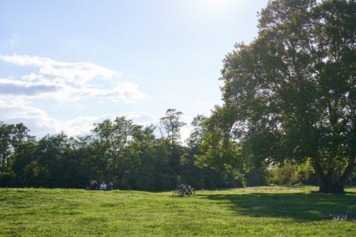 Parcul Pallady intră la vot în Consiliul Local al Sectorului 3. Proiectul prevede modernizarea Drumului Gura Crivățului, amenajarea de spații verzi și locuri de parcare
