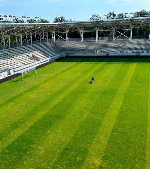 Nu e în cea mai bună stare    FOTO.  Cum se prezintă gazonul de pe „Arcul de Triumf”, înainte de   Dinamo - U Craiova