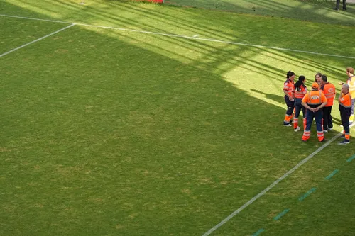 Dinamo - Craiova. Imagini cu gazonul stricat de pe Arcul de Triumf (7).jpeg