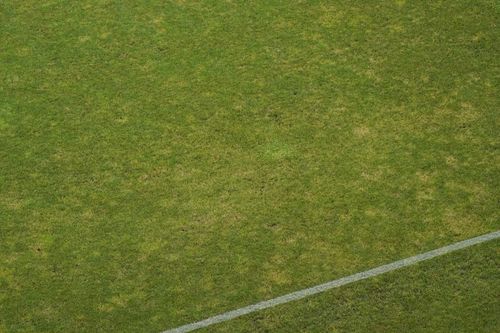 Dinamo - Craiova. Imagini cu gazonul stricat de pe Arcul de Triumf (9).jpeg