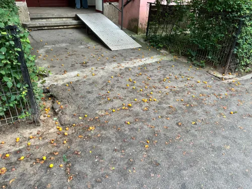 FOTO | Ideea unui puști din Berceni, ca să nu mai miroasă a borhot prin oraș. „Dați drumul la găini pe străzile din București, să ne scape de zarzăre!”