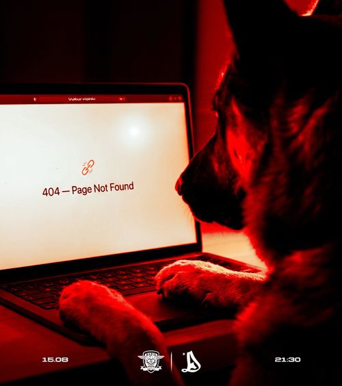 Eroare 404   Ironia dinamoviștilor  înainte de meciul cu Rapid: „Pagină negăsită” + Soundtrack cu tentă: „Cine dracu' ești?”