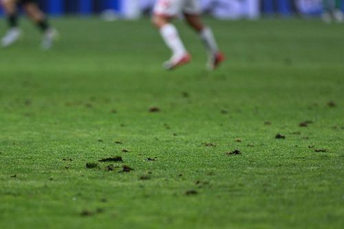 Se vede starea destul de rea a terenului de pe stadionul Rapid în timpul jocului Hapoel-Sabah, în play-off-ul Ligii