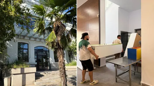 FOTO 🌴 Școala cu palmier la intrare e în sector la dl. Negoiță. E fostul sediu al Primăriei S3,  iar copceii exotici sunt cei plimbați prin tot orașul, inclusiv la Unirii