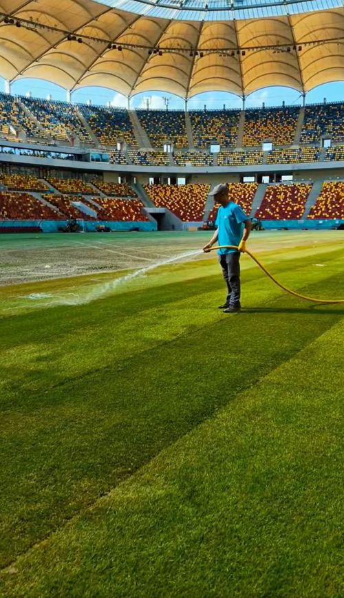 Gazonul de pe Arena Națională este schimbat. Foto: captură video/Primăria Municipiului București
