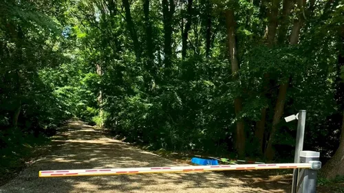 Răsturnare de situație în Pădurea Băneasa. Drumul auto către Cartierul Greenfield poate fi redeschis. Decizia Curții de Apel este definitivă