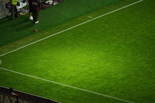 Cum arată gazonul de pe Giulești, înainte de Rapid - FC Voluntari (foto: Vlad Nedelea/GOLAZO.ro)