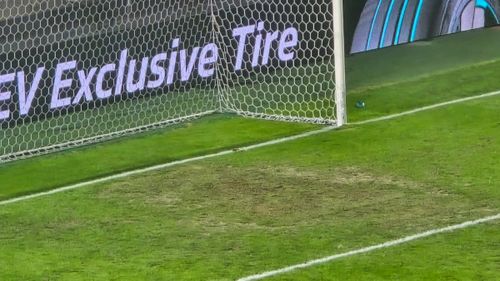 Gazon prost în Giulești FOTO Theodor Jumătate/GOLAZO.ro