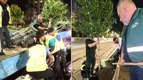 VIDEO | A început plantarea celor 300 de copaci pe Calea Văcărești. PS4 promite amenajarea unui „coridor verde” până la sfârșitul anului