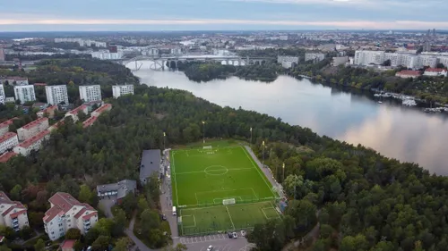 Secretul suedez   Cum se fabrică fotbaliștii:  terenuri subvenționate, bani publici și academii controlate la sânge