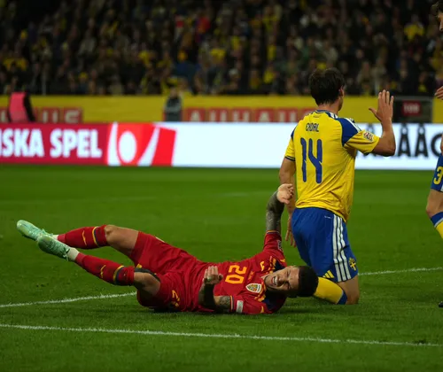 Suedia - România FOTO Iosif Popescu GOLAZO (16).jpeg
