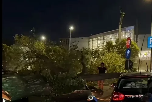 VIDEO | Momentul în care un copac cade peste mașini, pe Iuliu Maniu, în zona Carrefour. Dezastru în trafic, cu bulevardul blocat între Politehnică și Lujeruli