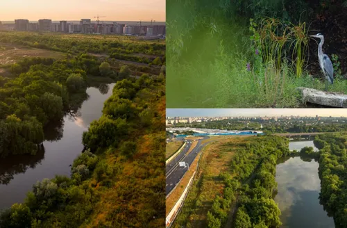 FOTO | Valea Saulei, declarată arie naturală protejată, a treia zonă cu astfel de statut din București. Peste 350 de specii sălbatice trăiesc în acest univers verde
