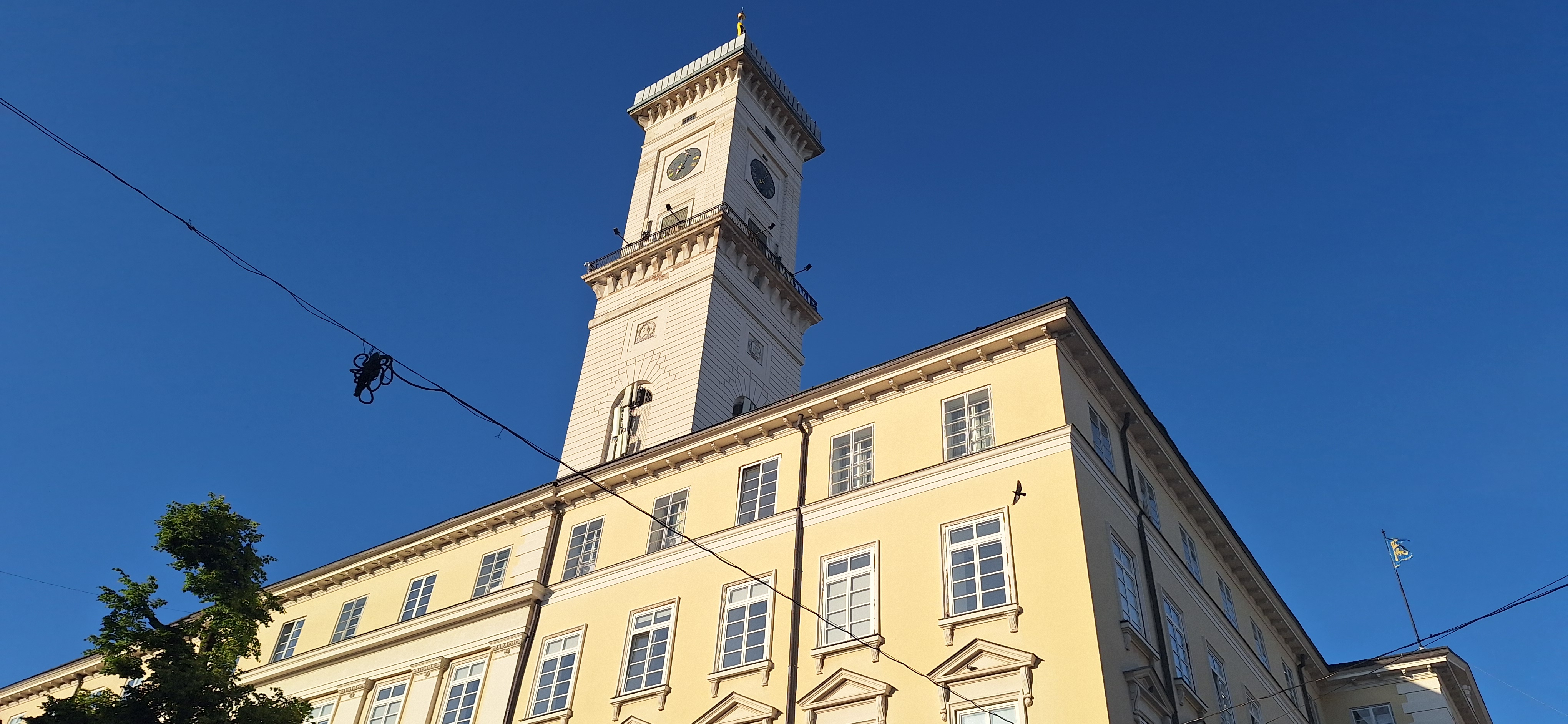 Primăria din Liov