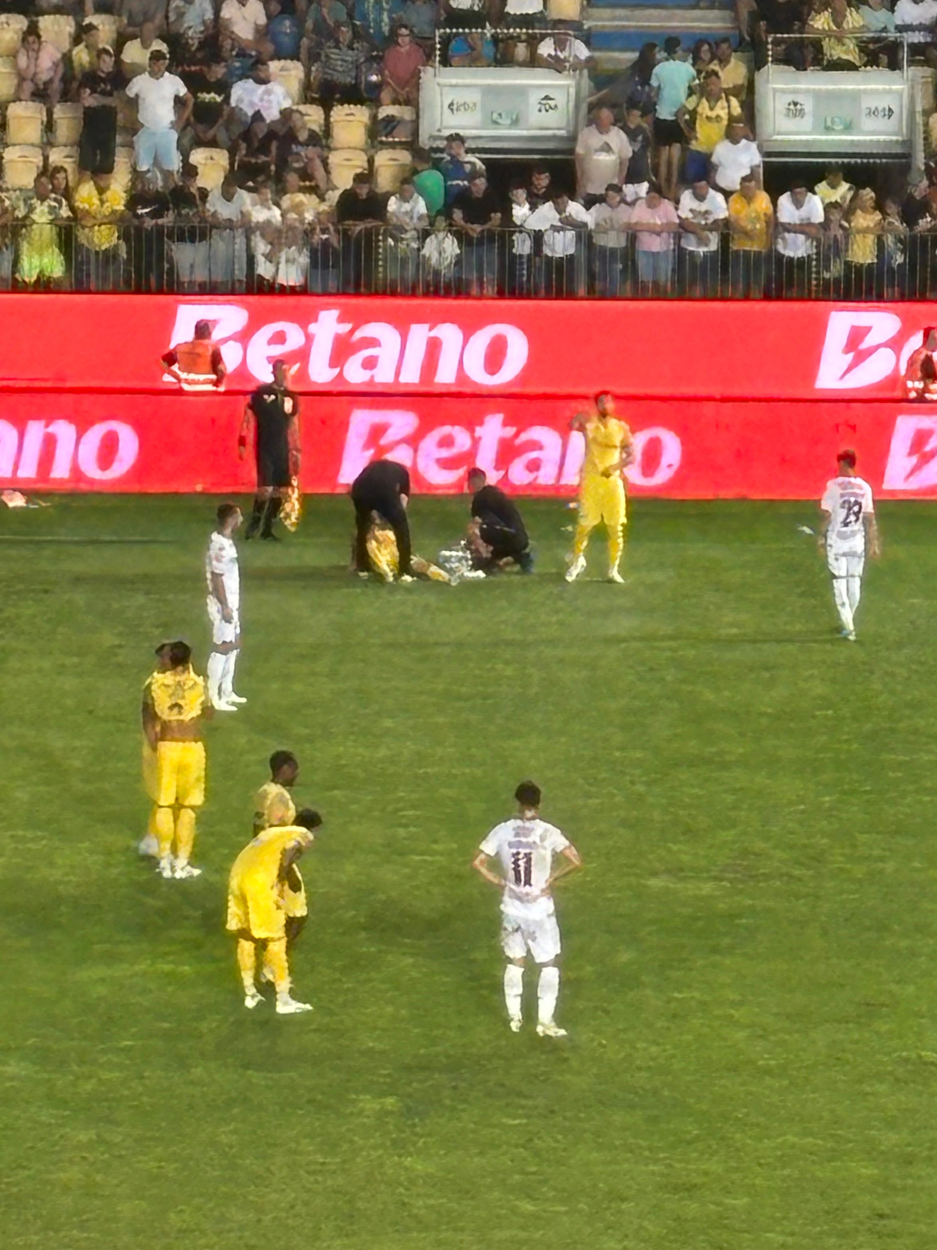 Petrolul - Rapid, meci