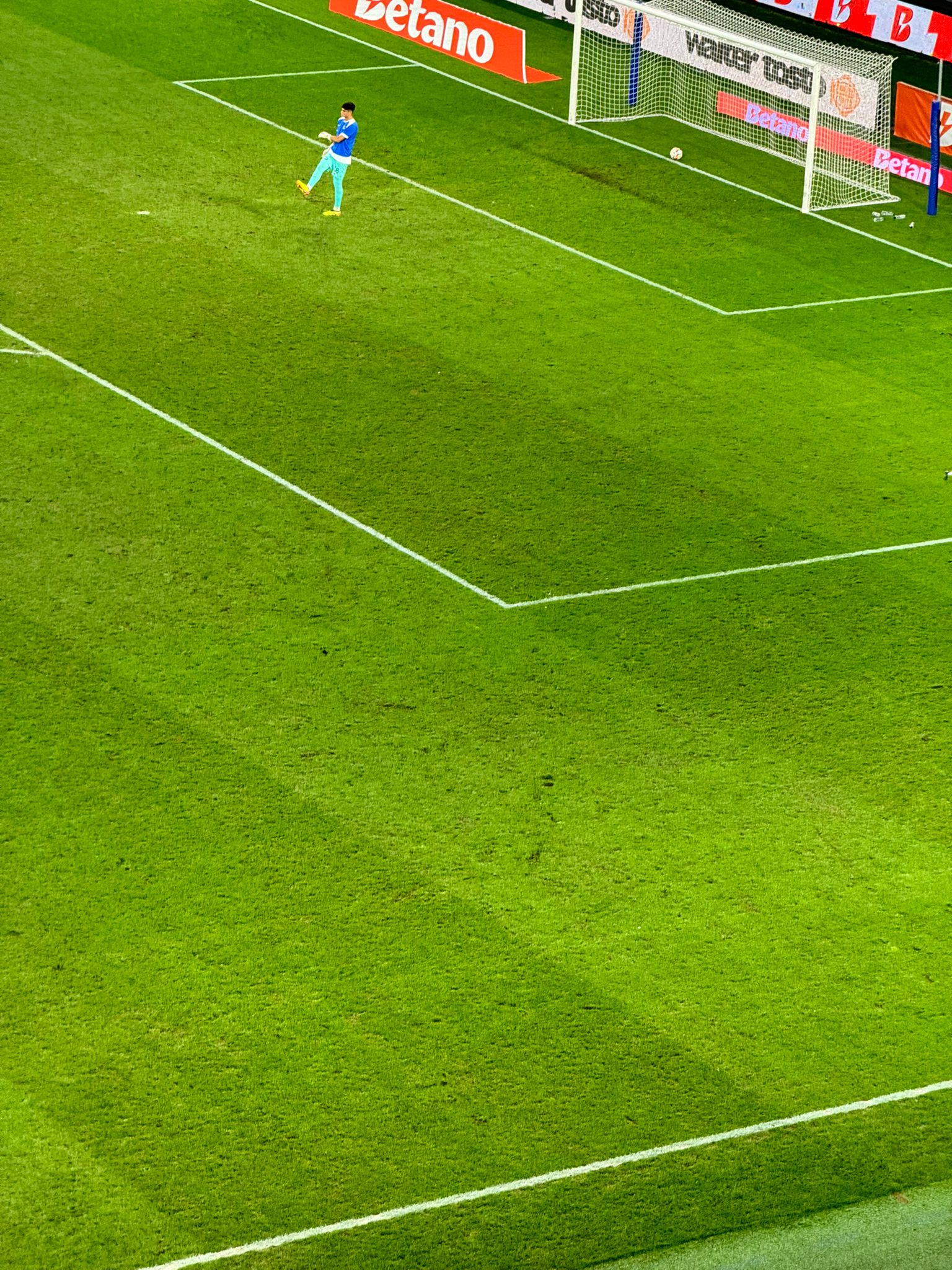 Gazonul la pauza meciului FCSB - Farul