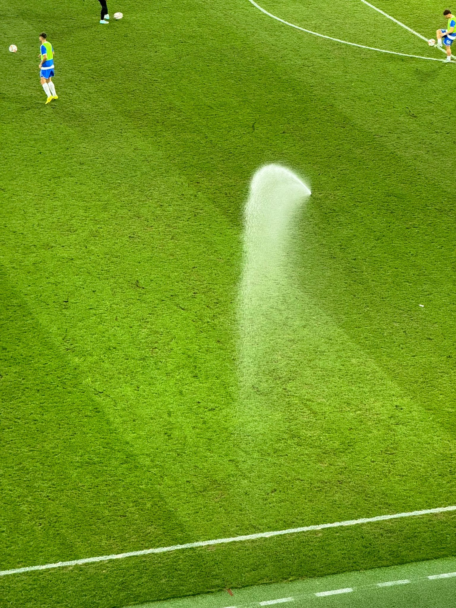 Gazonul la pauza meciului FCSB - Farul