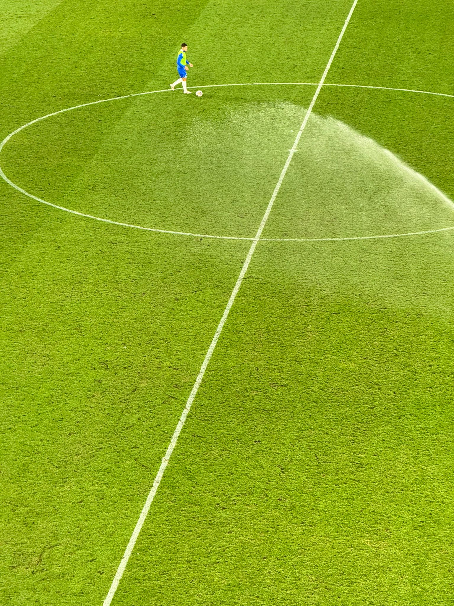 Gazonul la pauza meciului FCSB - Farul