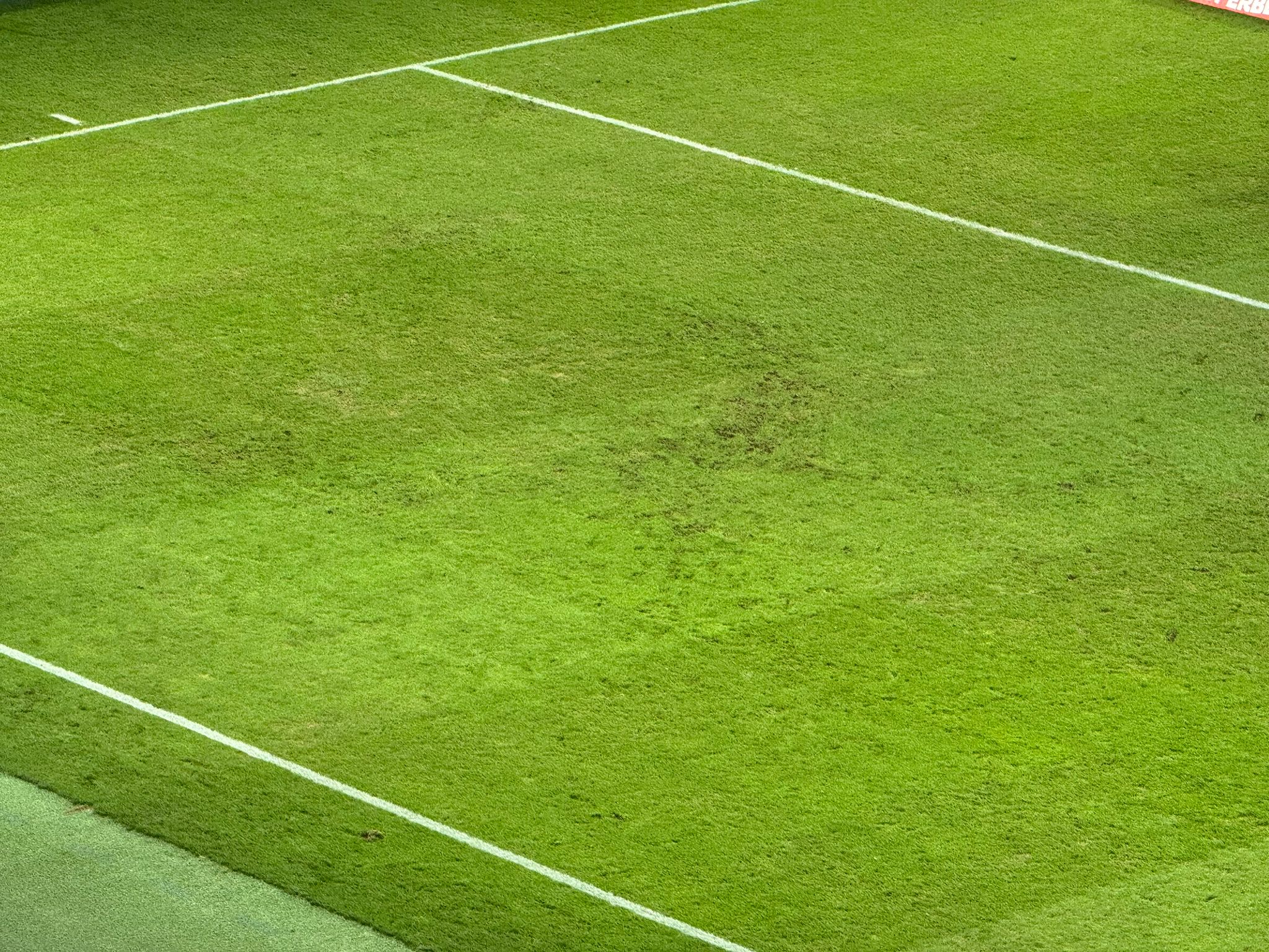 Gazonul la pauza meciului FCSB - Farul