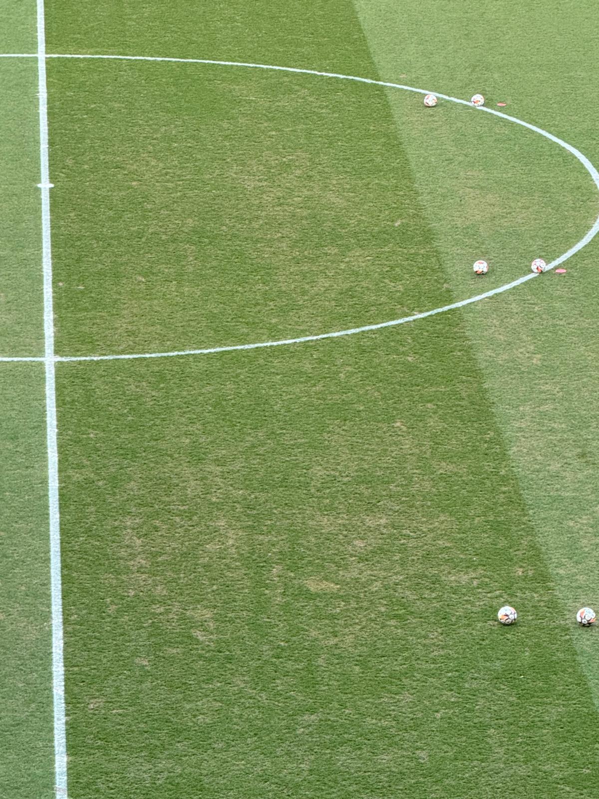 Stadion Ghencea