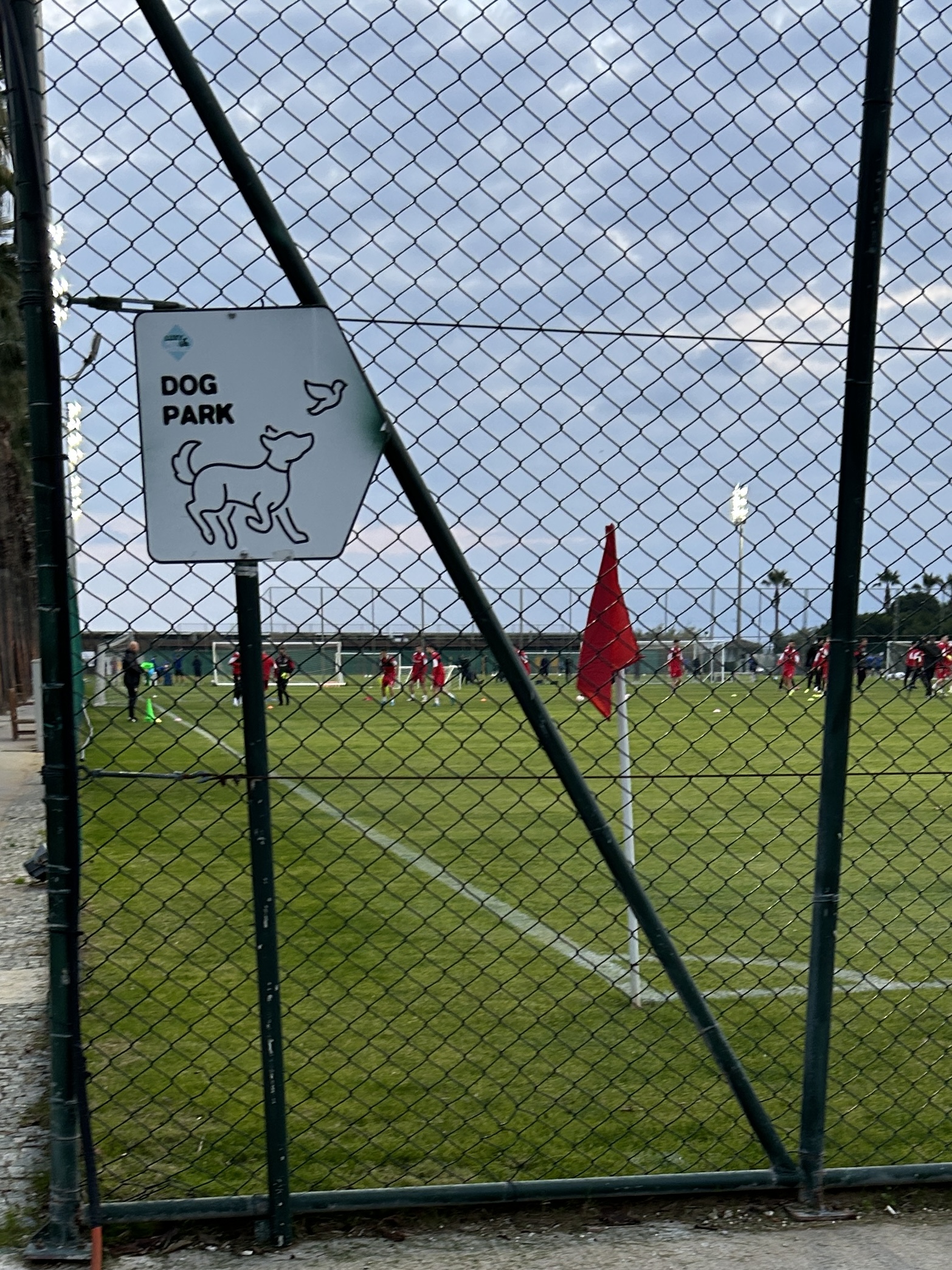 Imagini din cantonamentul lui Dinamo (FOTO: GOLAZO.ro / Iosif Popescu)