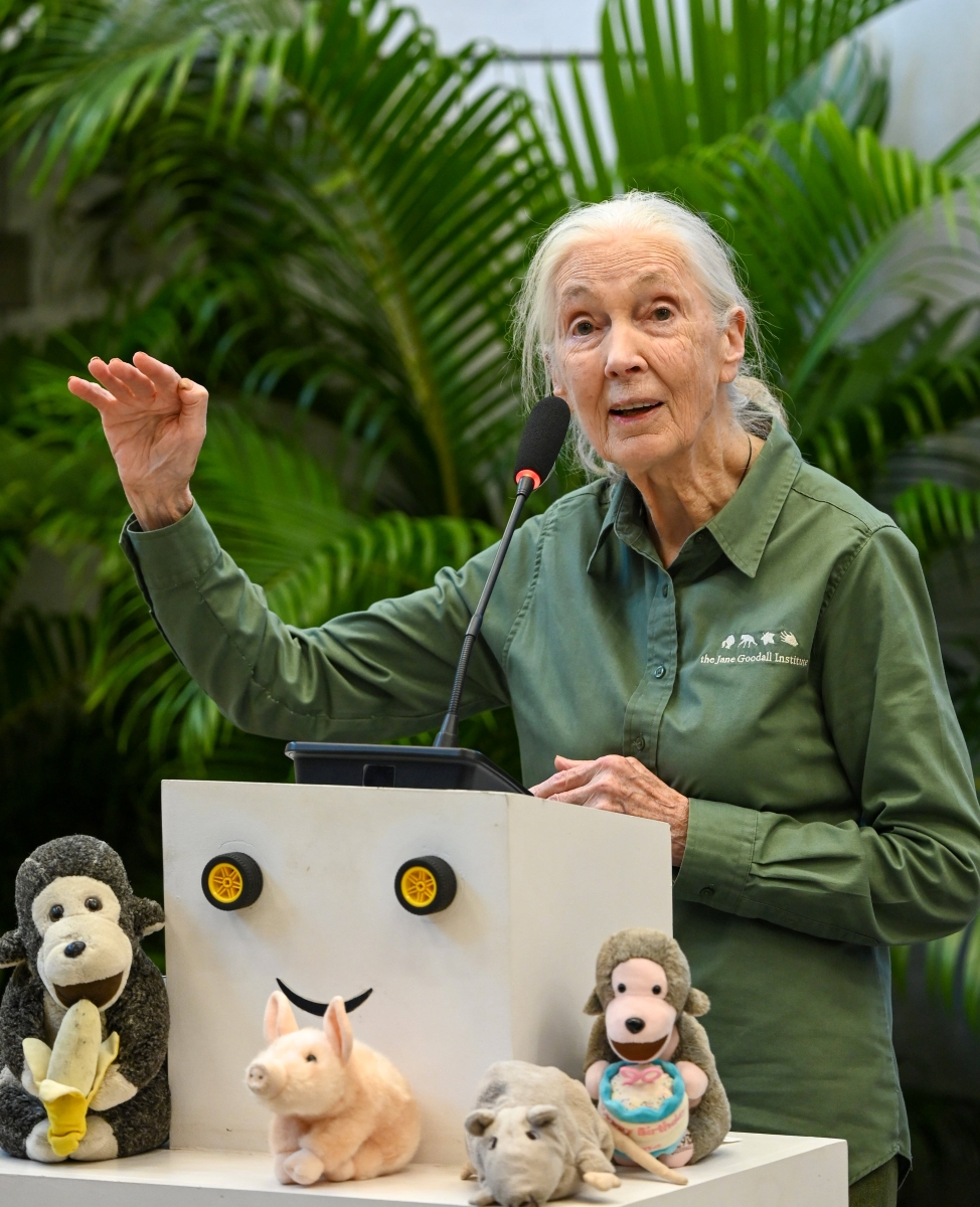 Jane Goodall. Foto: Imago